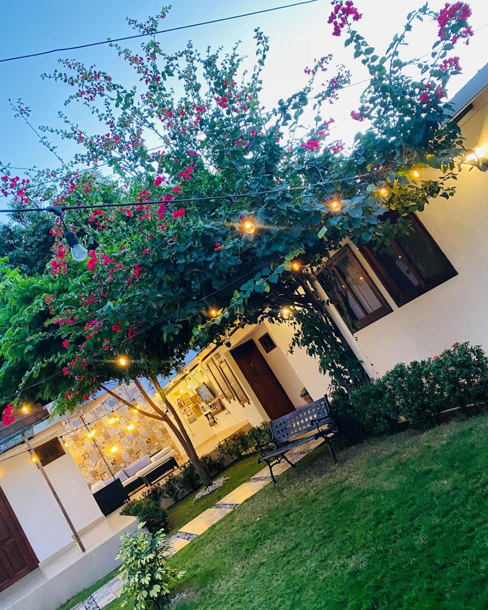 לינה וארוחת בוקר מנאגווה Casa San Juan מראה חיצוני תמונה